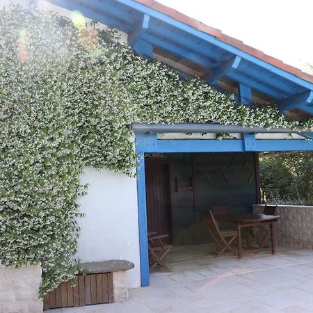 Chambre D'Hotes Au Sargaillon Pouillon Exterior photo